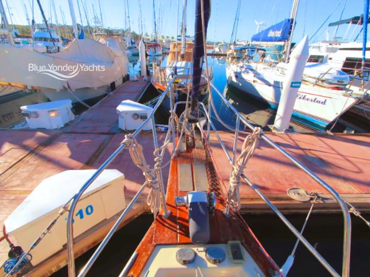 Zephyr - Image 16