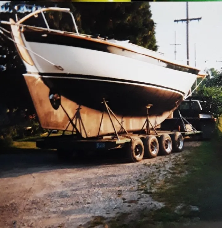 Albatross - Image 7