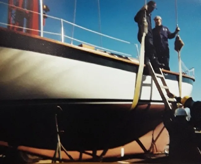 Albatross - Image 5