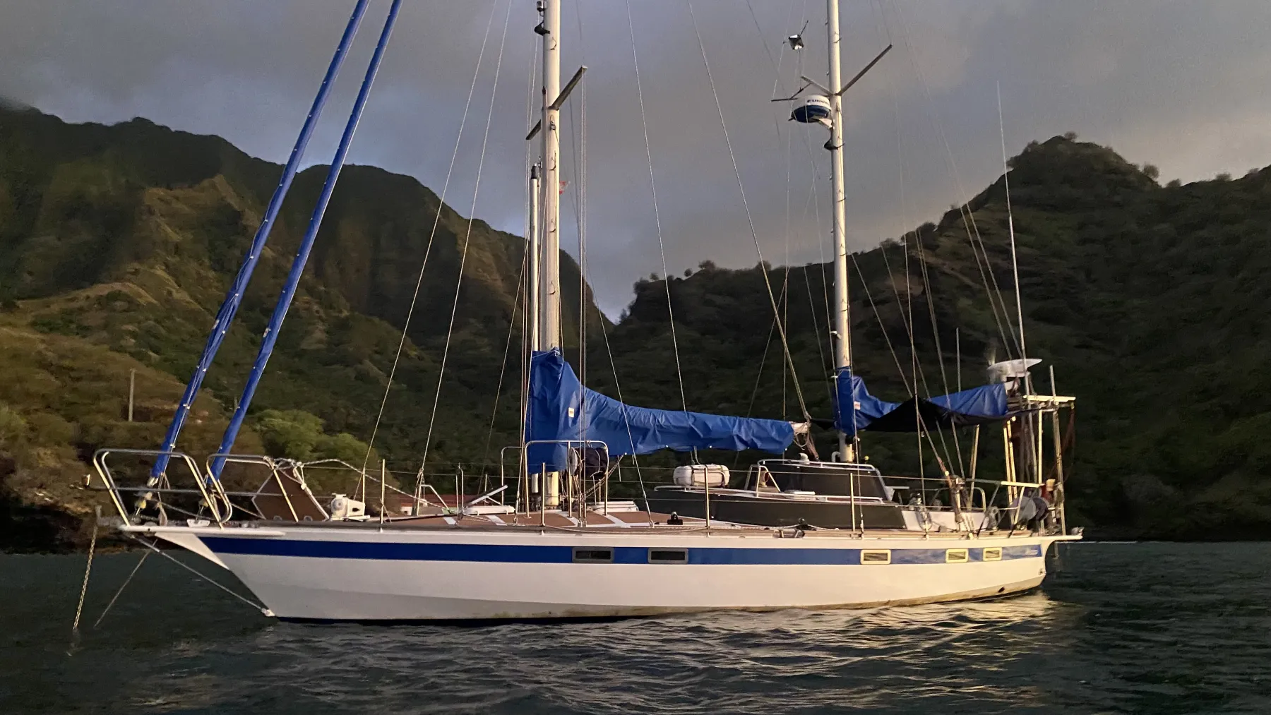 Moana - Image 1