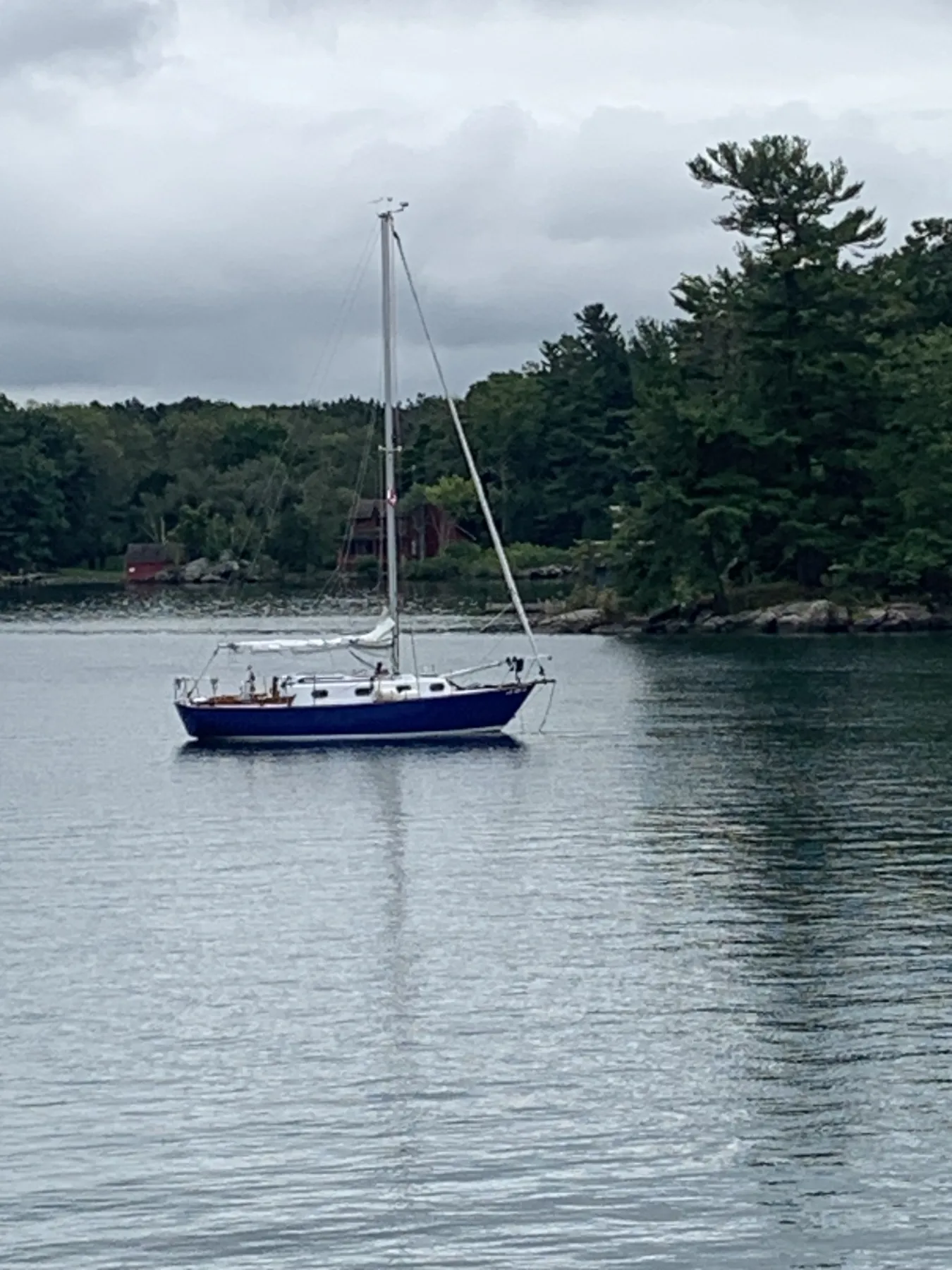 Orca - Image 17