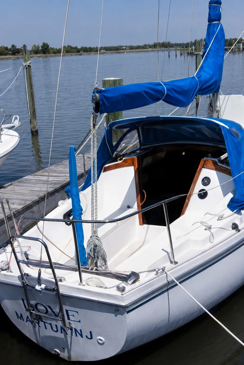 Dove - Image 3