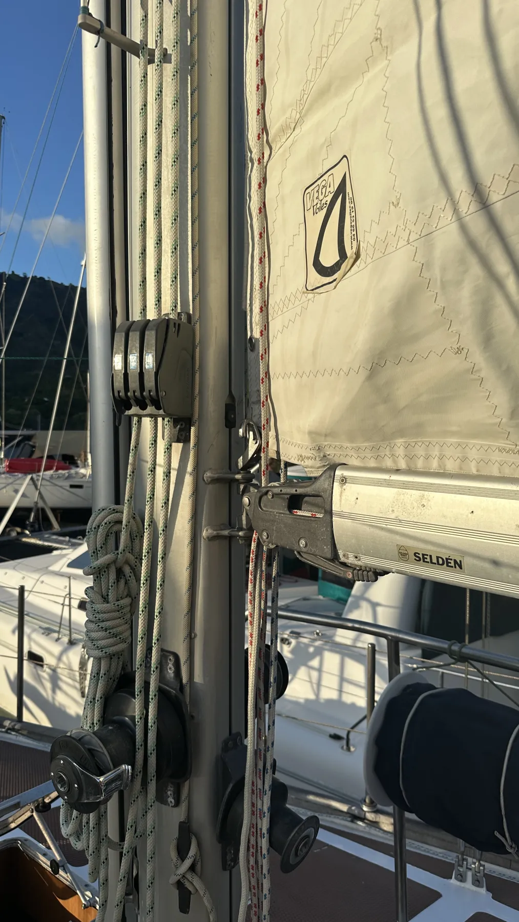 Moana - Image 36