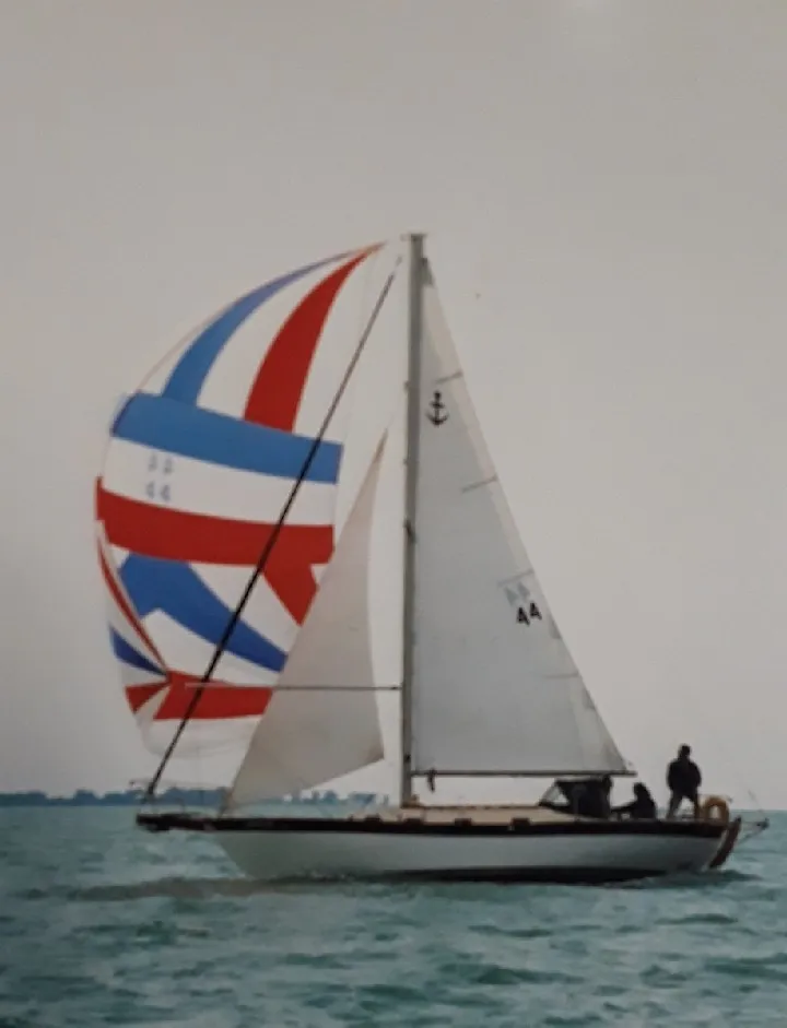 Albatross