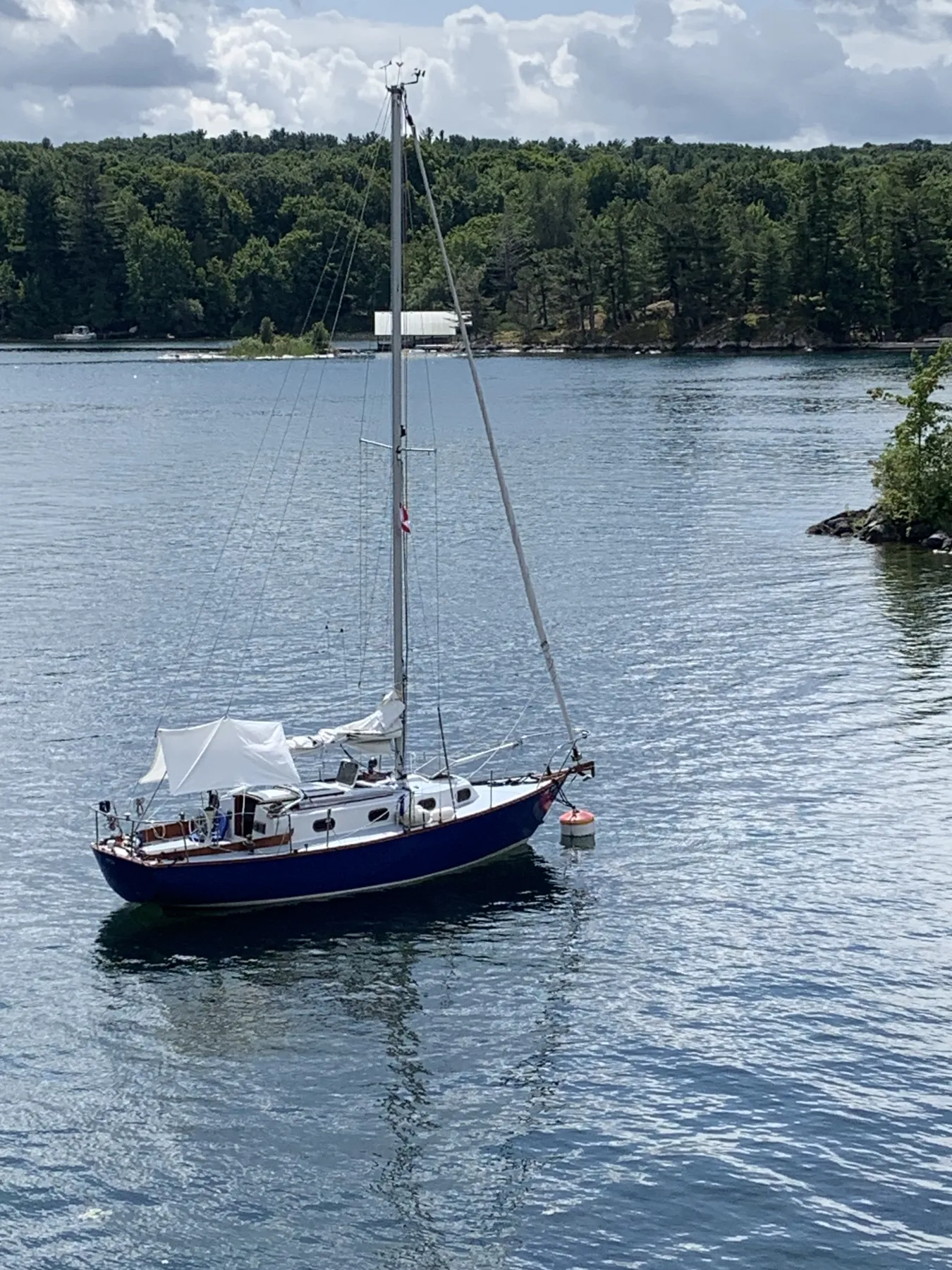 Orca - Image 18