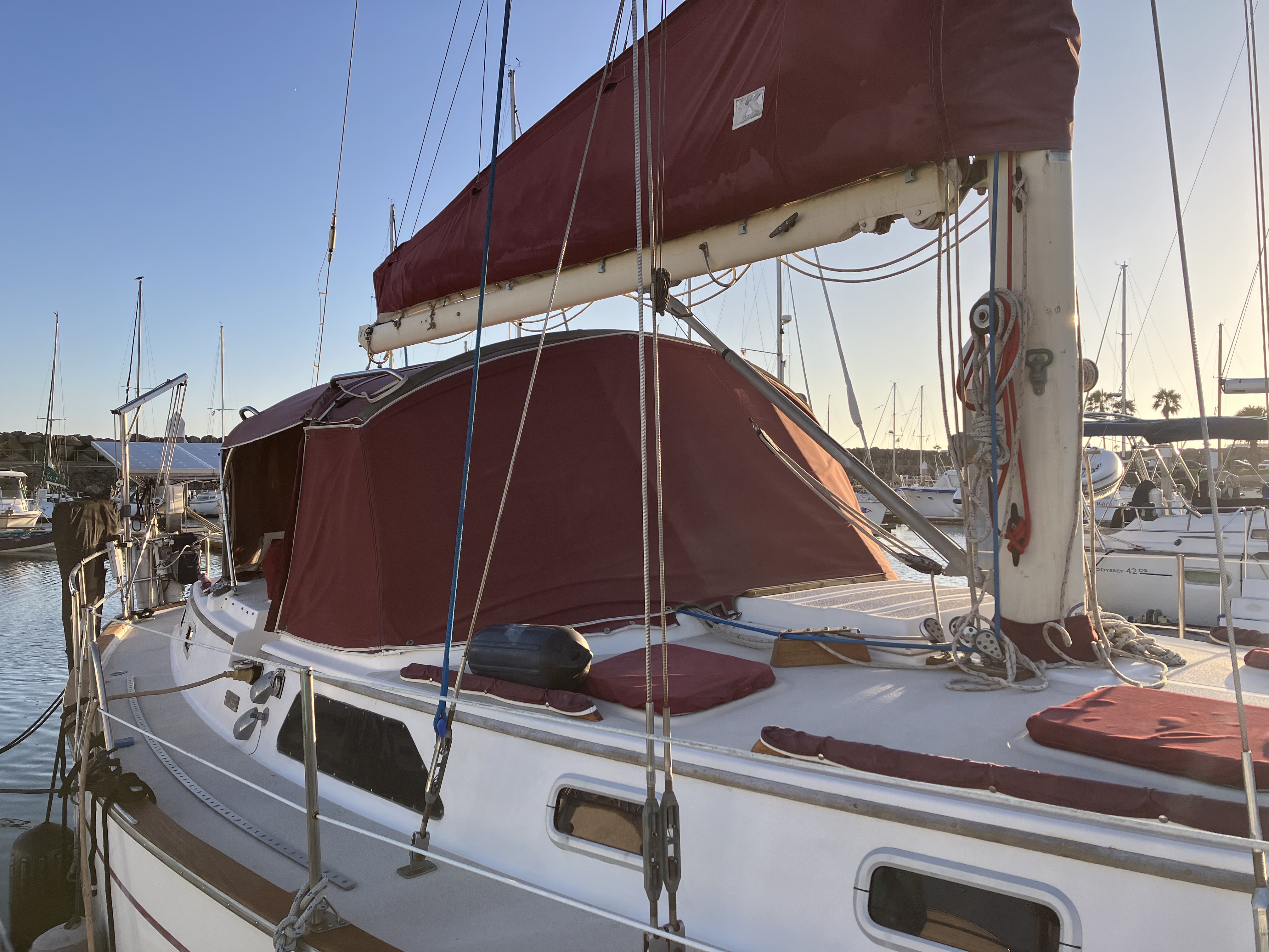 Frank Hoffmann - Image 2