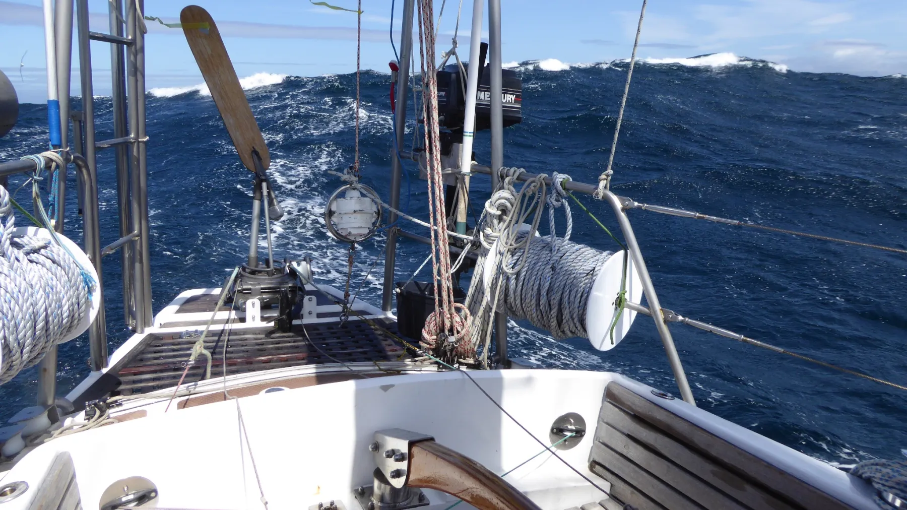 Moana - Image 22