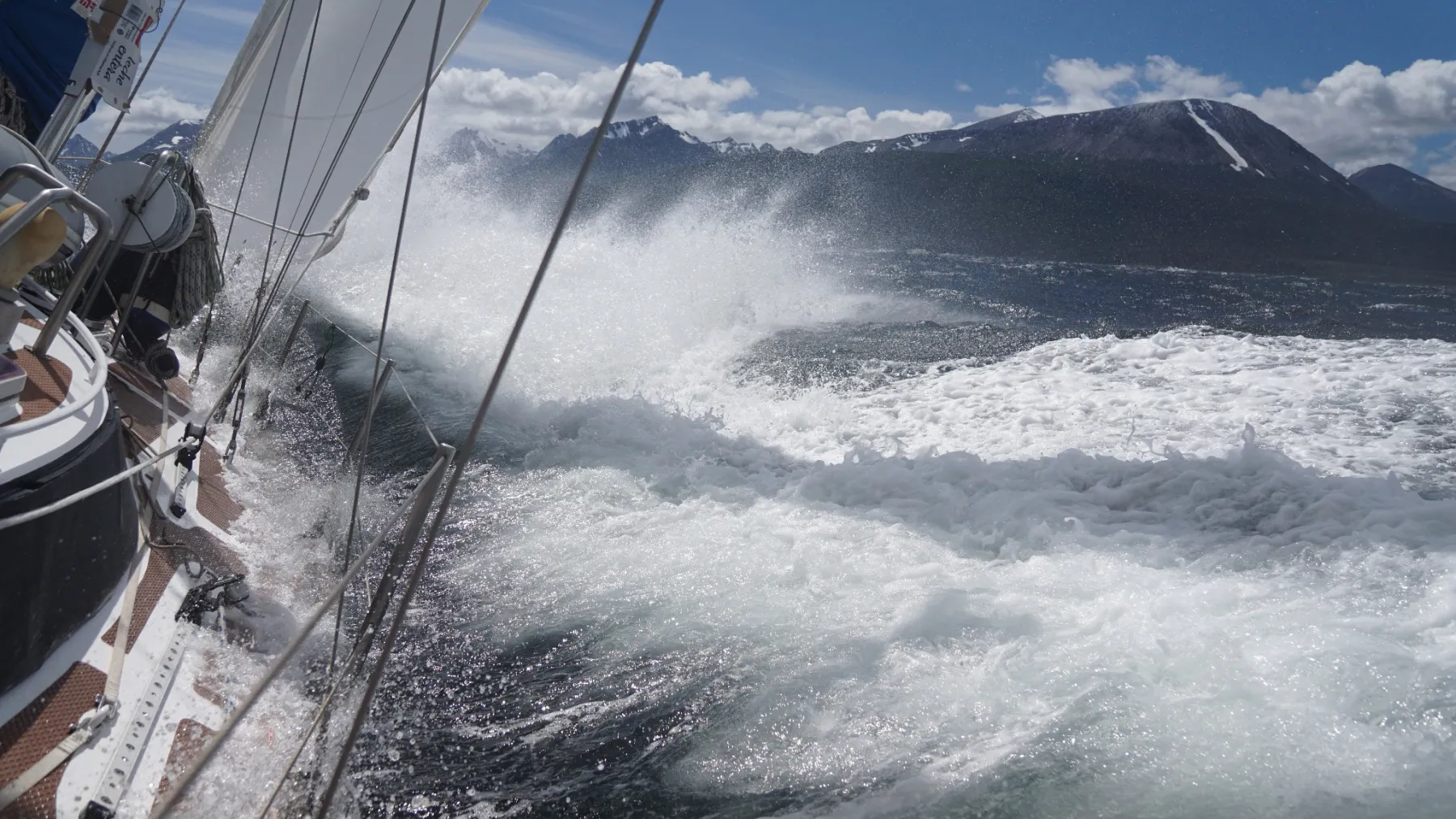 Moana - Image 21