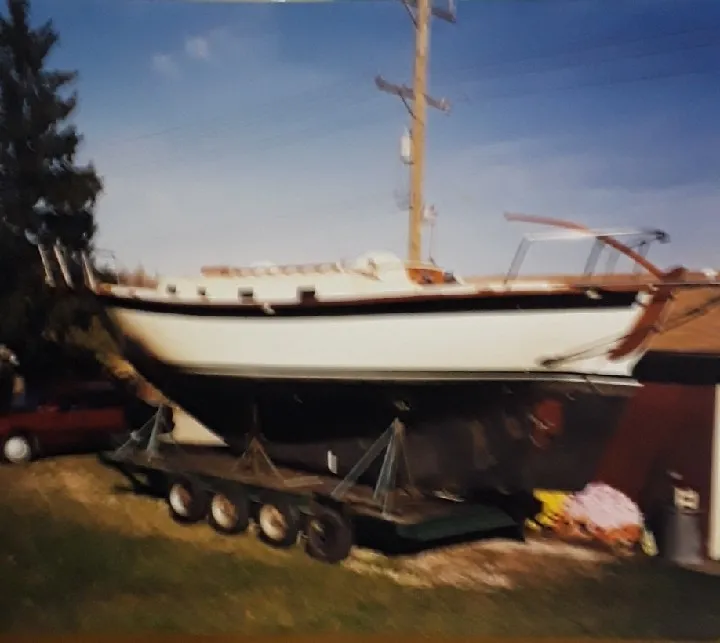 Albatross - Image 8