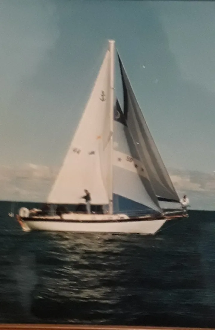 Albatross - Image 6