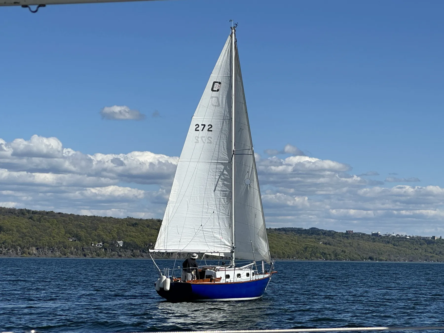 Orca - Image 19