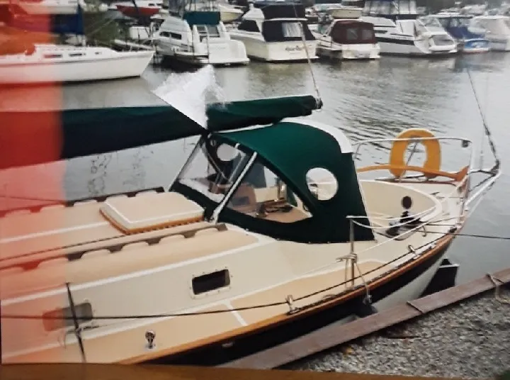 Albatross - Image 3