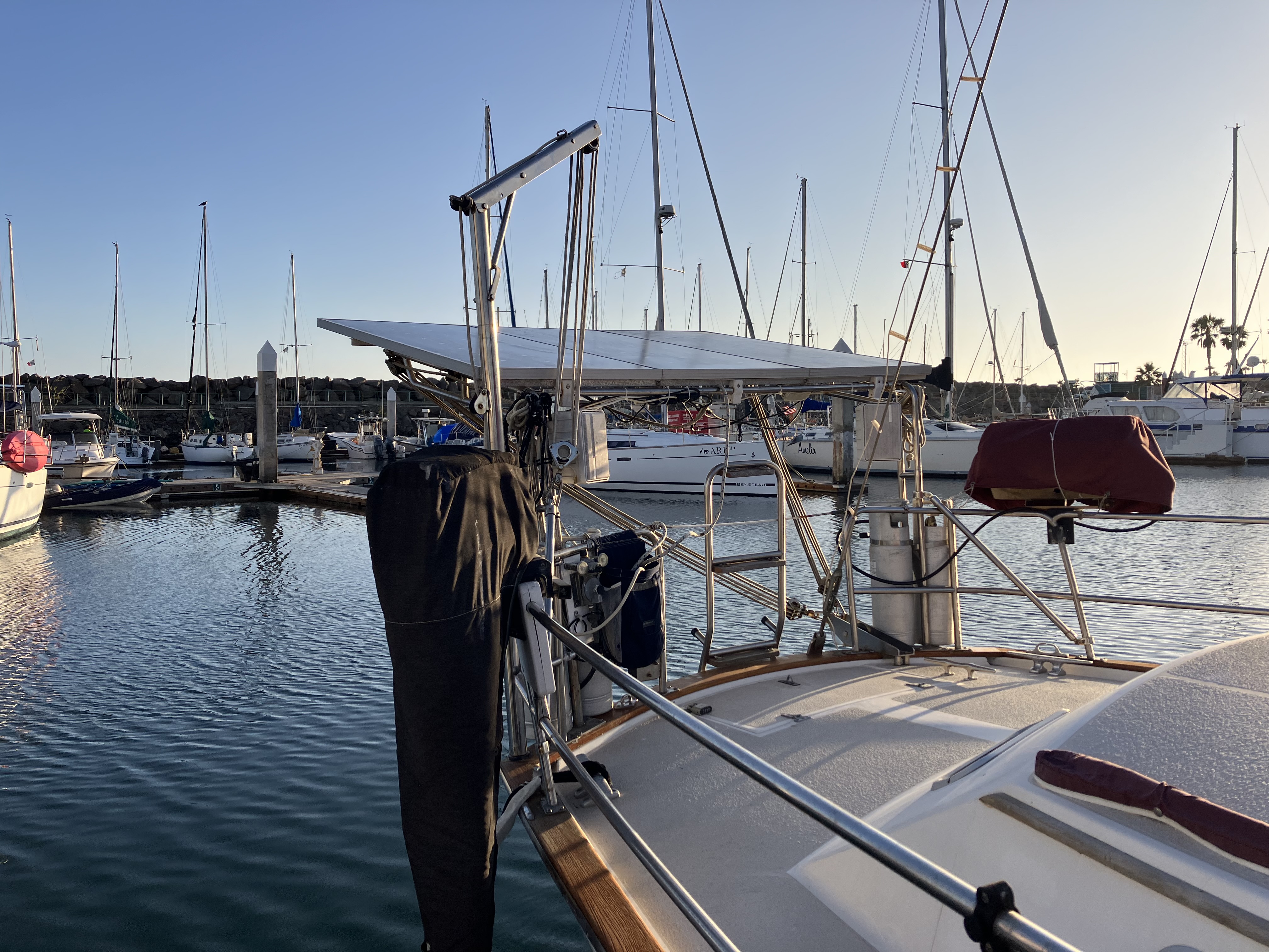 Frank Hoffmann - Image 4