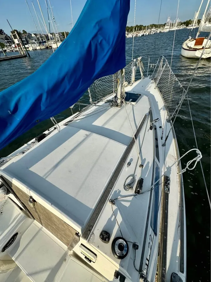 Laminar Flow - Image 4