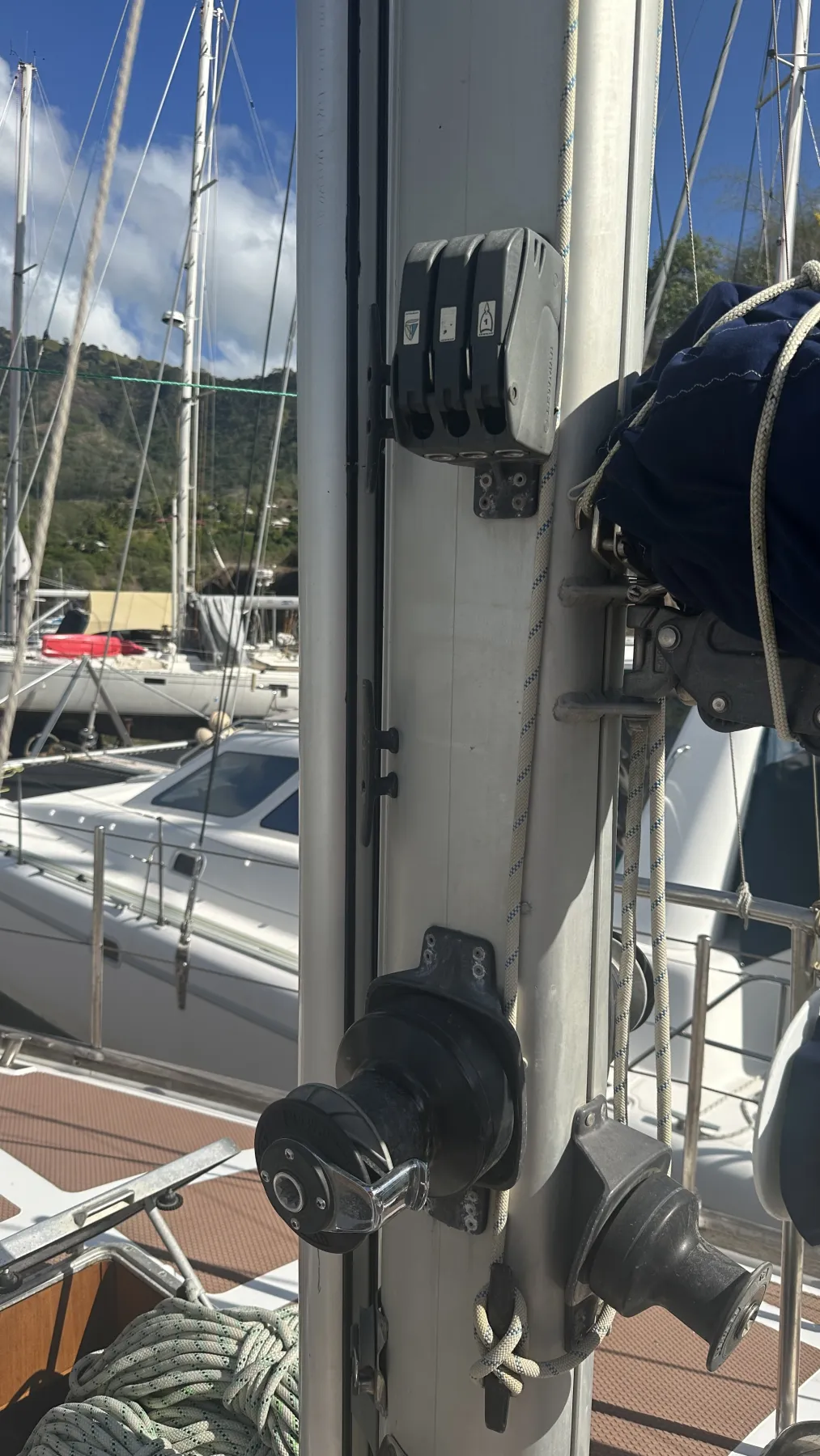 Moana - Image 27