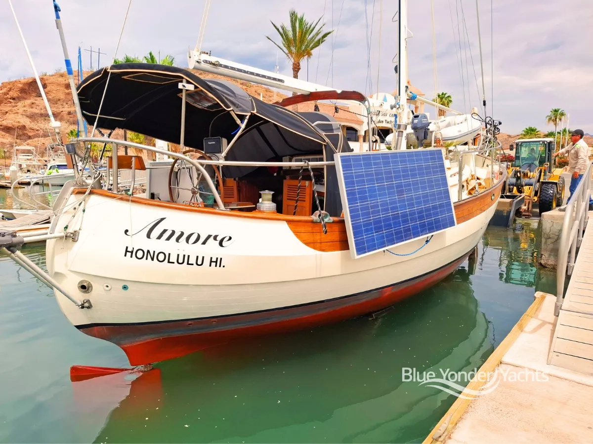 Amore - Image 12