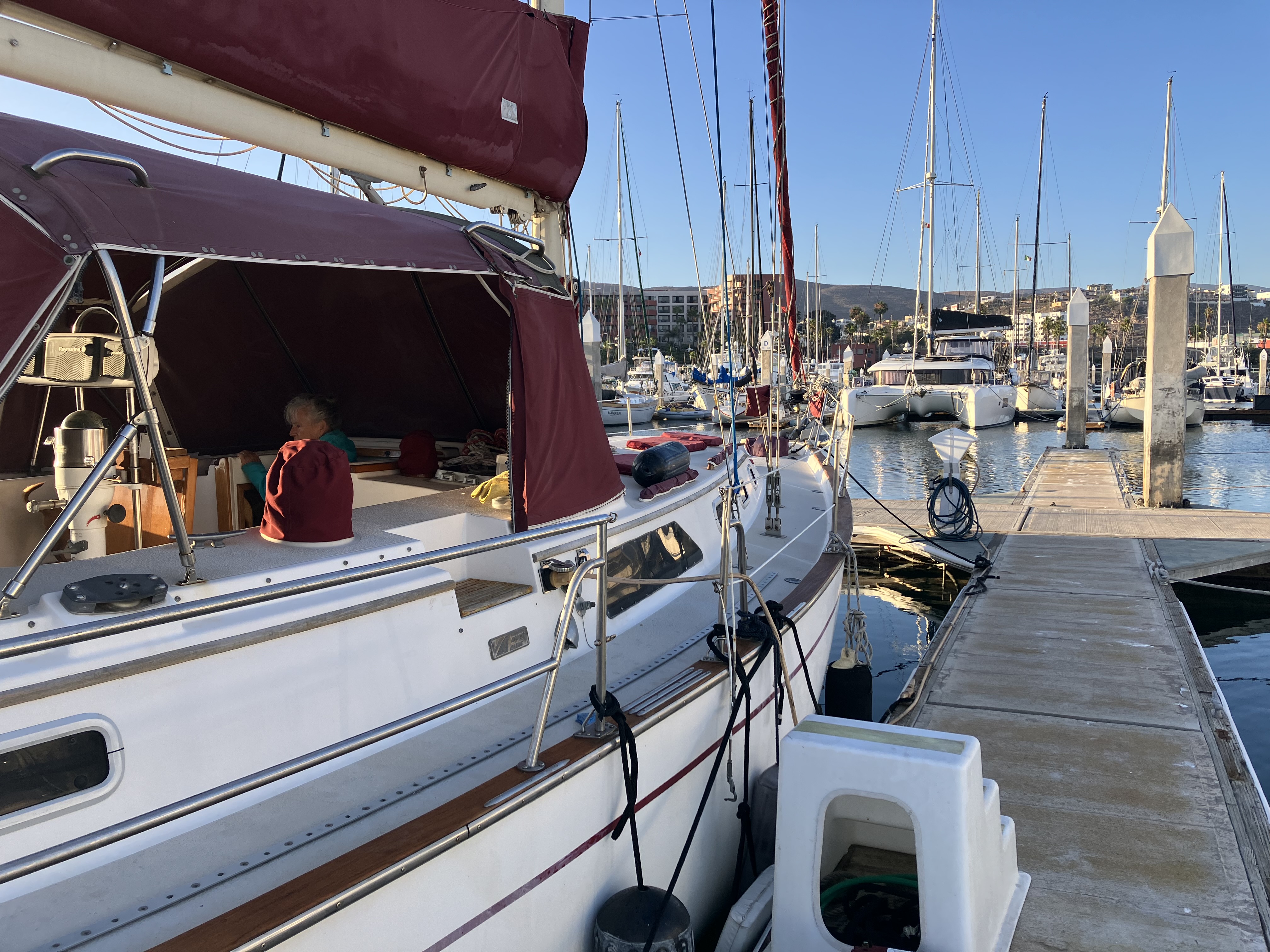 Frank Hoffmann - Image 3